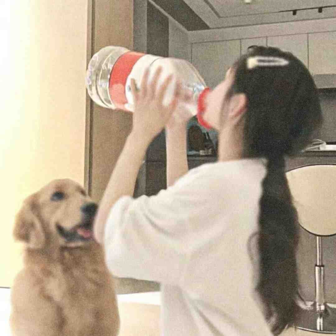 Han. JD 韩集地-时装城8350 产品图