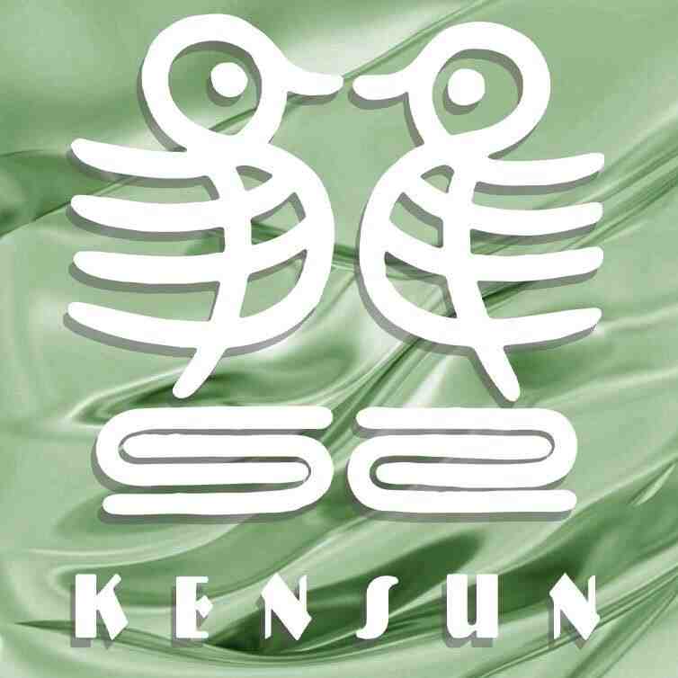 肯逊KENSUN-聚道1FA60 产品图