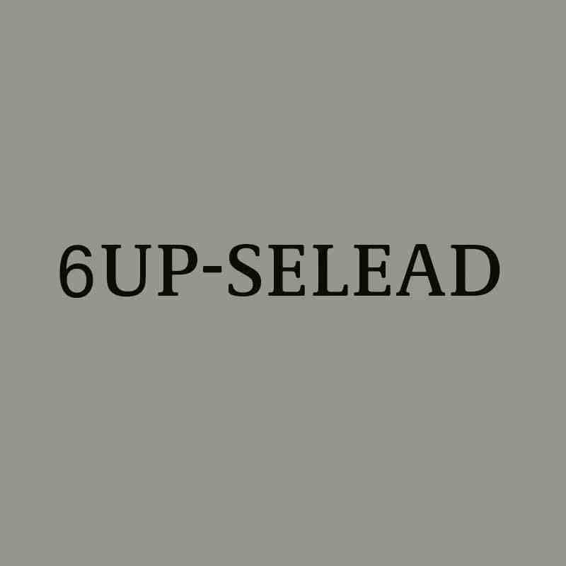 6Up-SELEAD-C422 产品图