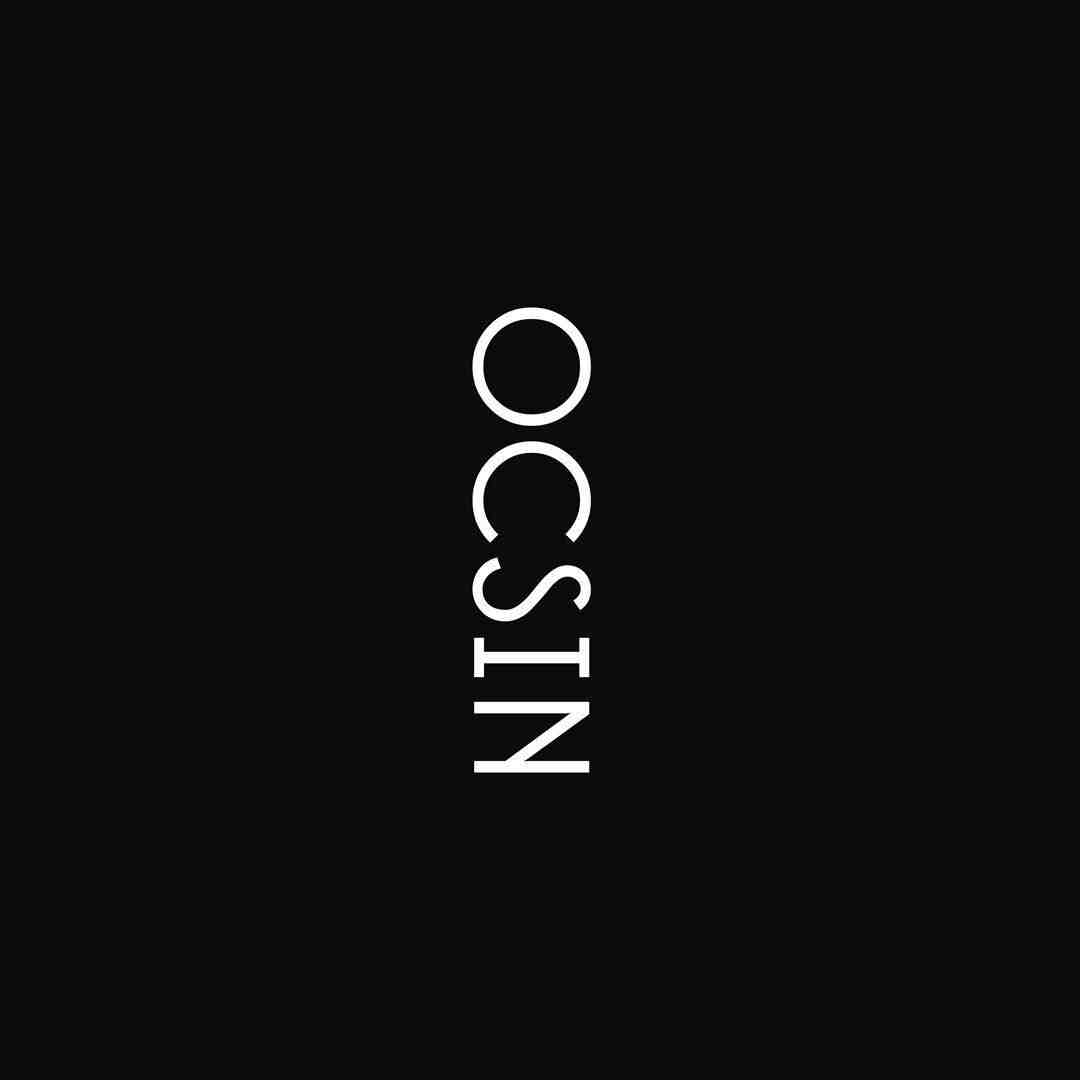 OCSIN偶现-C532