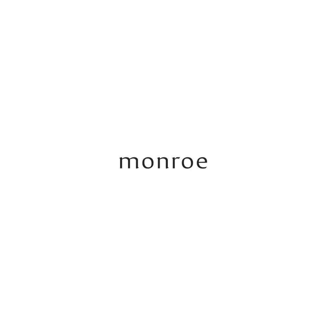 MONROE -apm 119 产品图