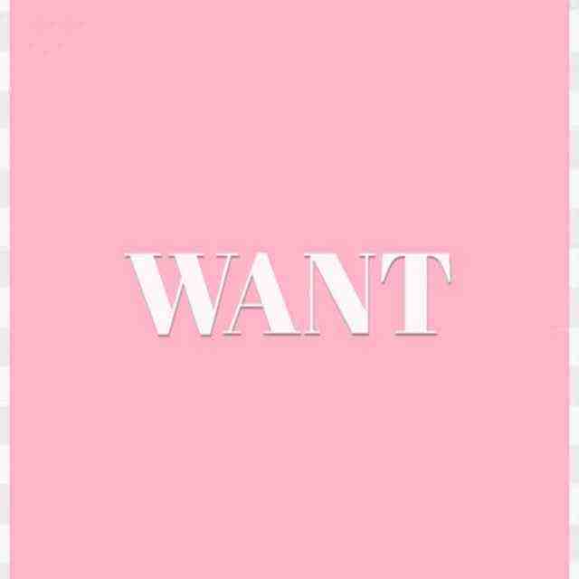 WANT - OT 4F J13 产品图