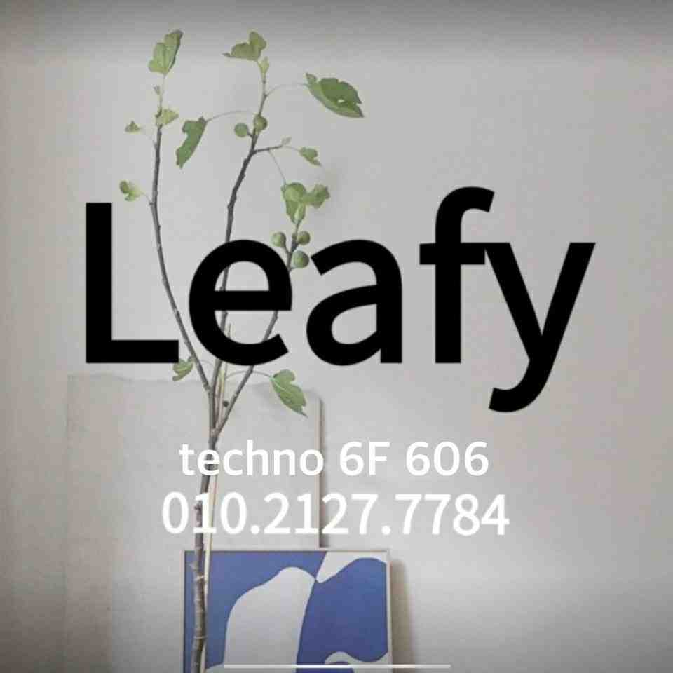 leafy - Techno 6F 6061 产品图