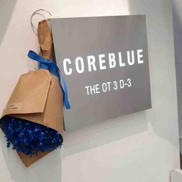 COREBLUE - OT 3F D03 产品图