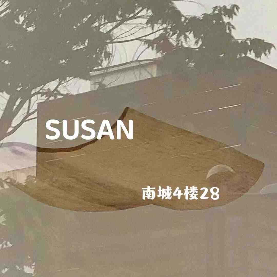 SUSAN -4F28 产品图
