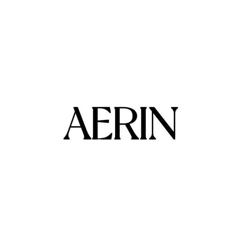 AERIN-2091 产品图
