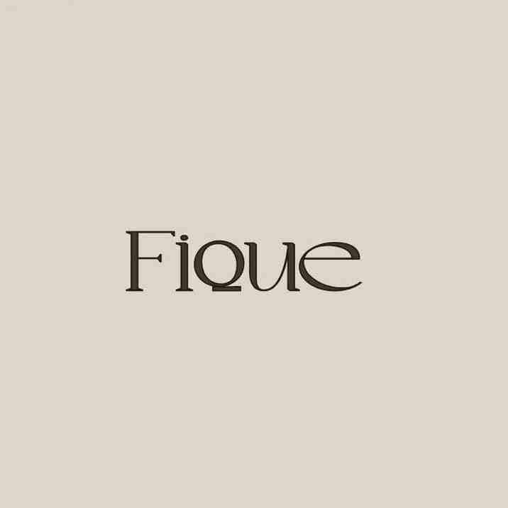 FIQUE-A1052 产品图