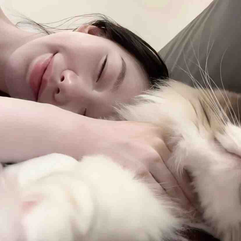 SUMLEE 中纺1-022 023 产品图