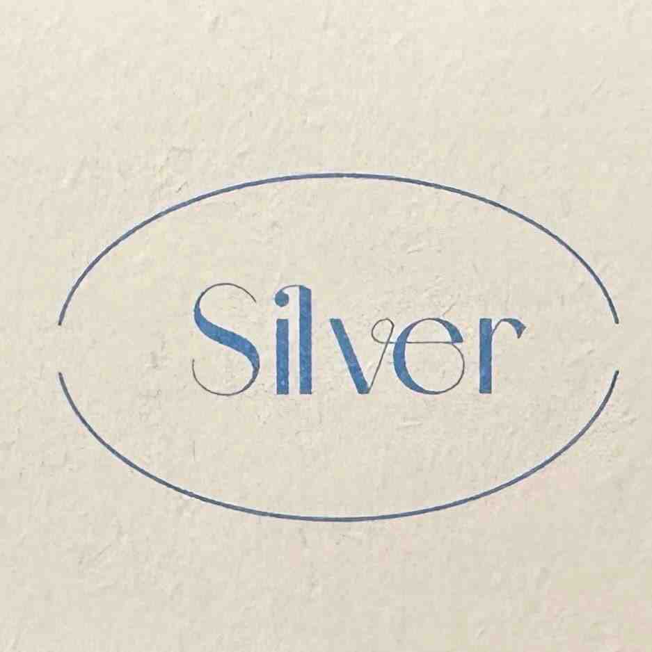 Silver-环北负一65甲 产品图