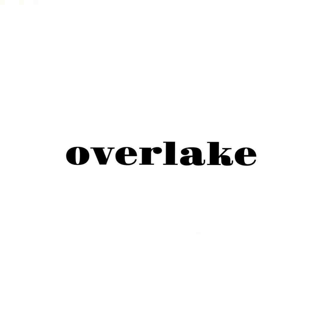 overlake-A007 产品图