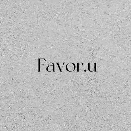 Favor.u-2021 产品图