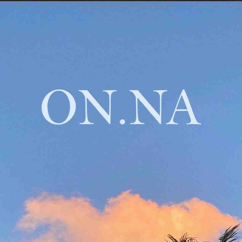 onna-TECHNO 449 产品图