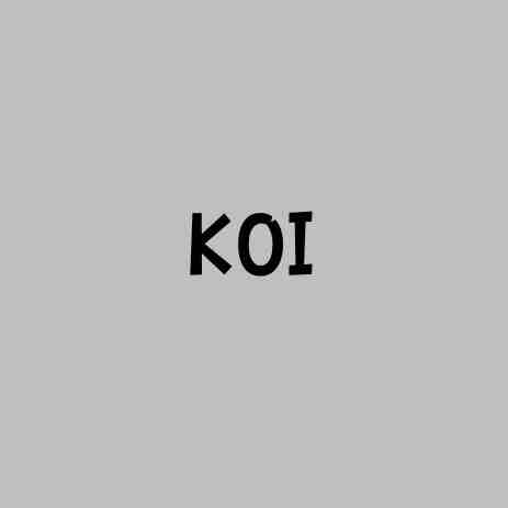 KOI- THE OT 3F E-20 产品图