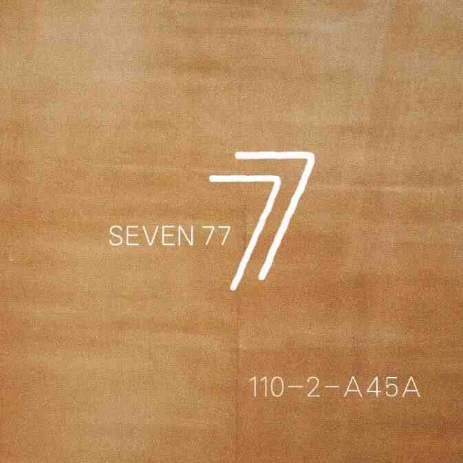 Seven77-110栋2-A45A 产品图