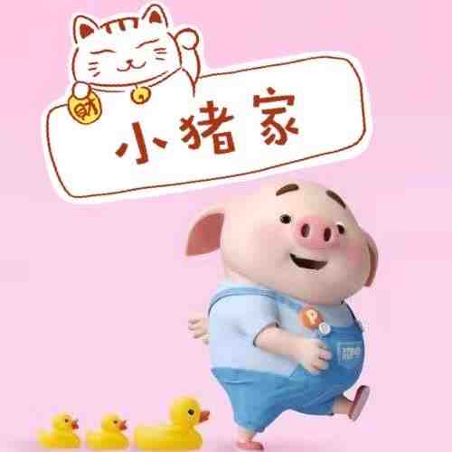 小猪家pig-金马5楼178 产品图