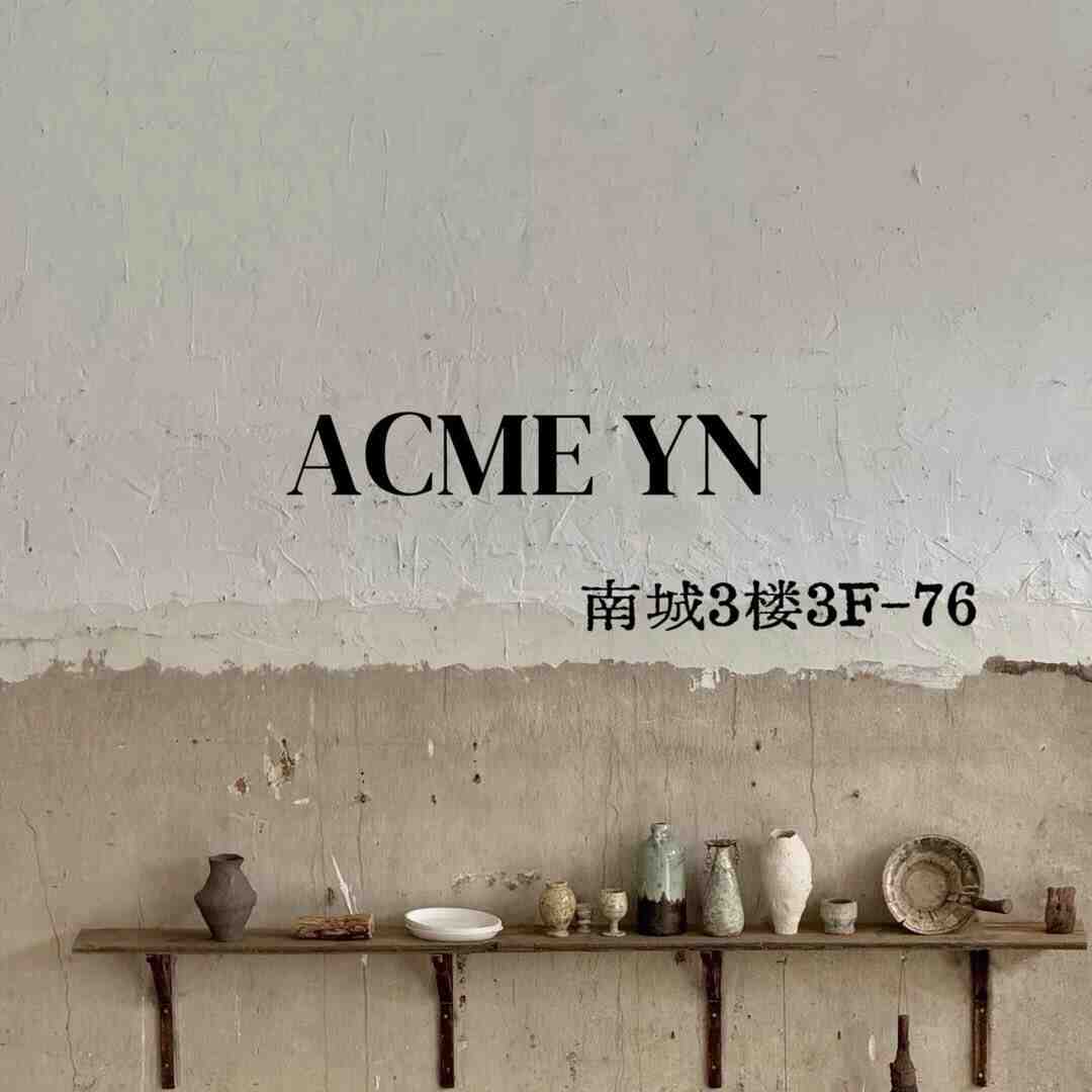 ACME YN-南城3F76 产品图