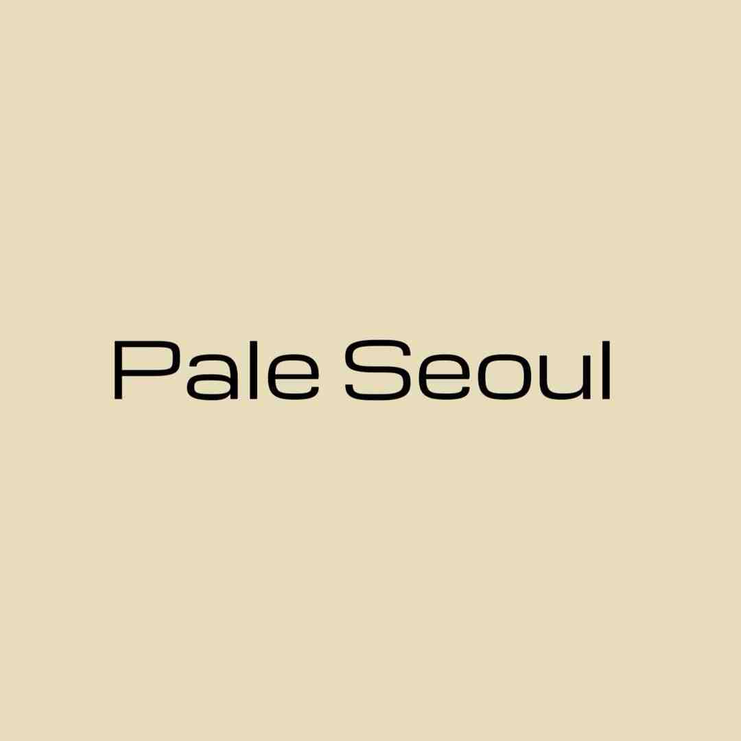 Pale Seoul-南城3楼加30档 产品图