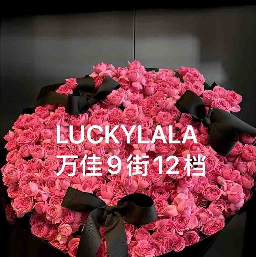 LUCKYLALA -万佳9街12档 产品图
