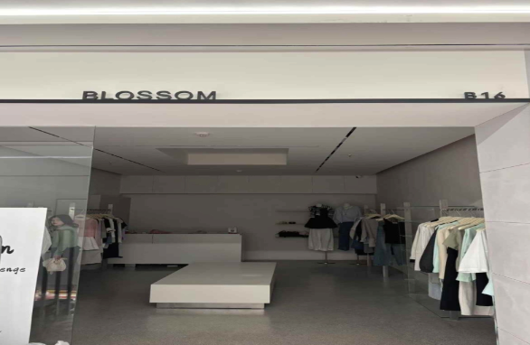 Blossom新意法富一楼B16 产品图