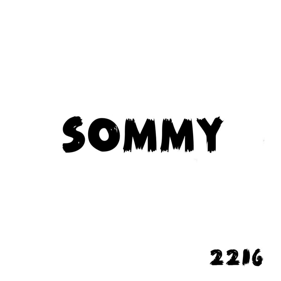 SOMMY 意法2216 产品图