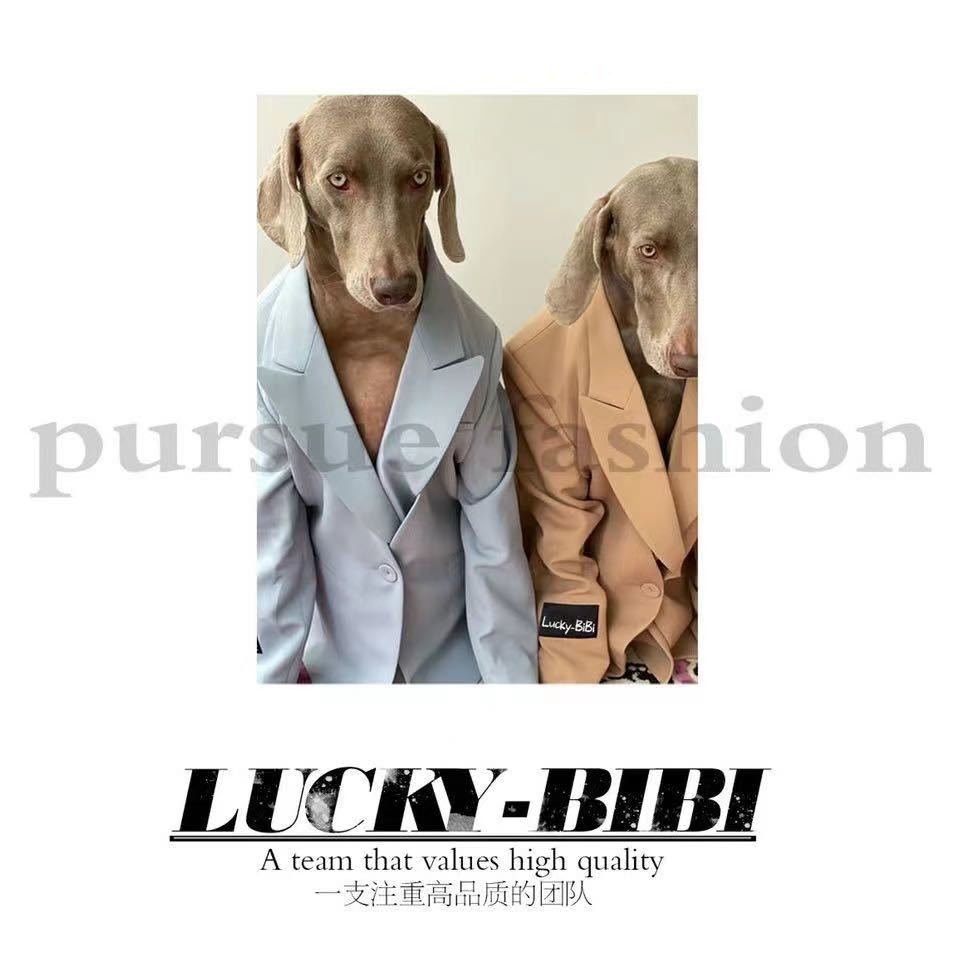 LUCKY- BiBi新中国3861档 产品图
