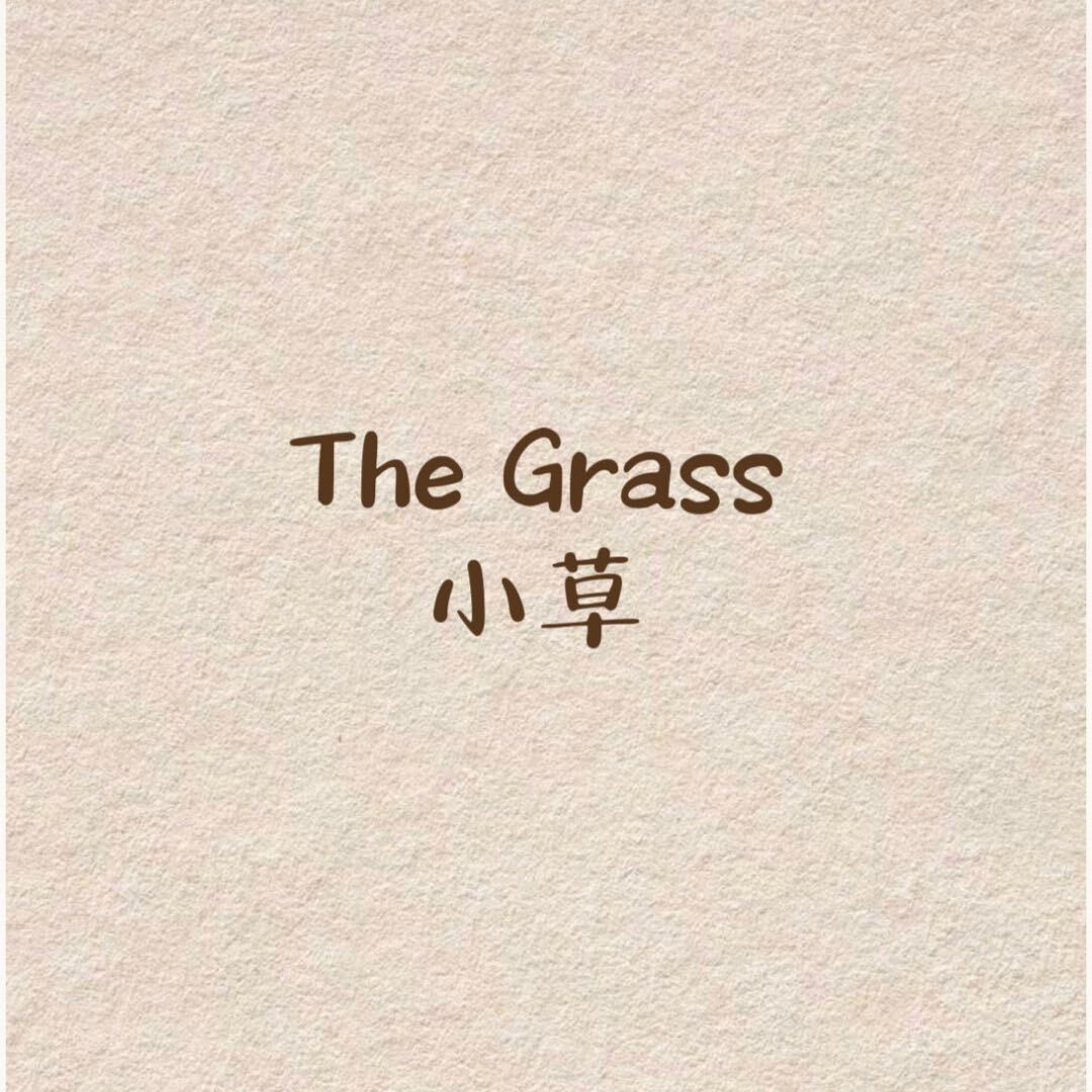 Grass小草-金马3F118 产品图