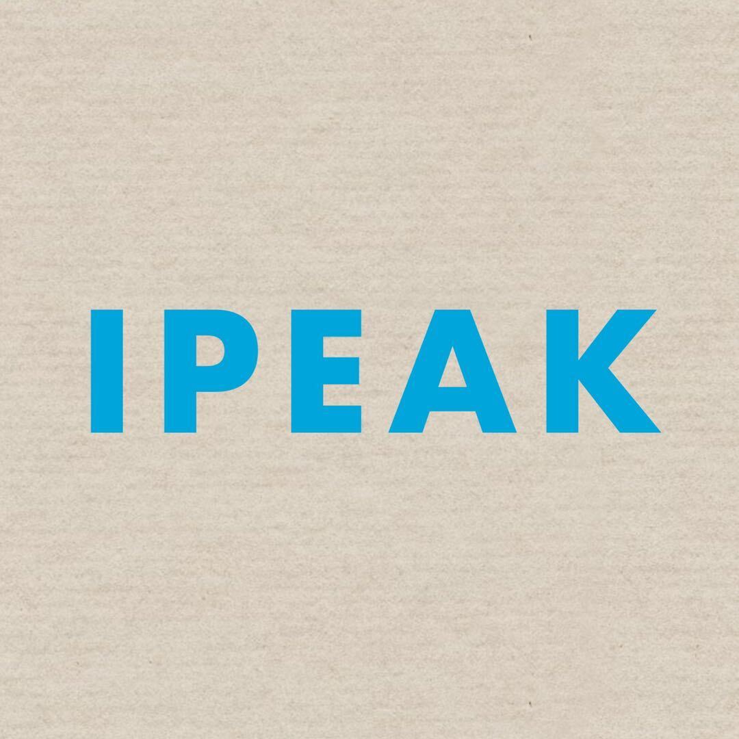 IPEAK-中纺3013 产品图