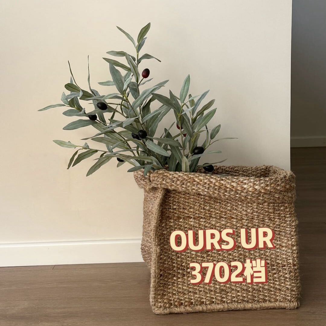 OURS UR-3702 产品图
